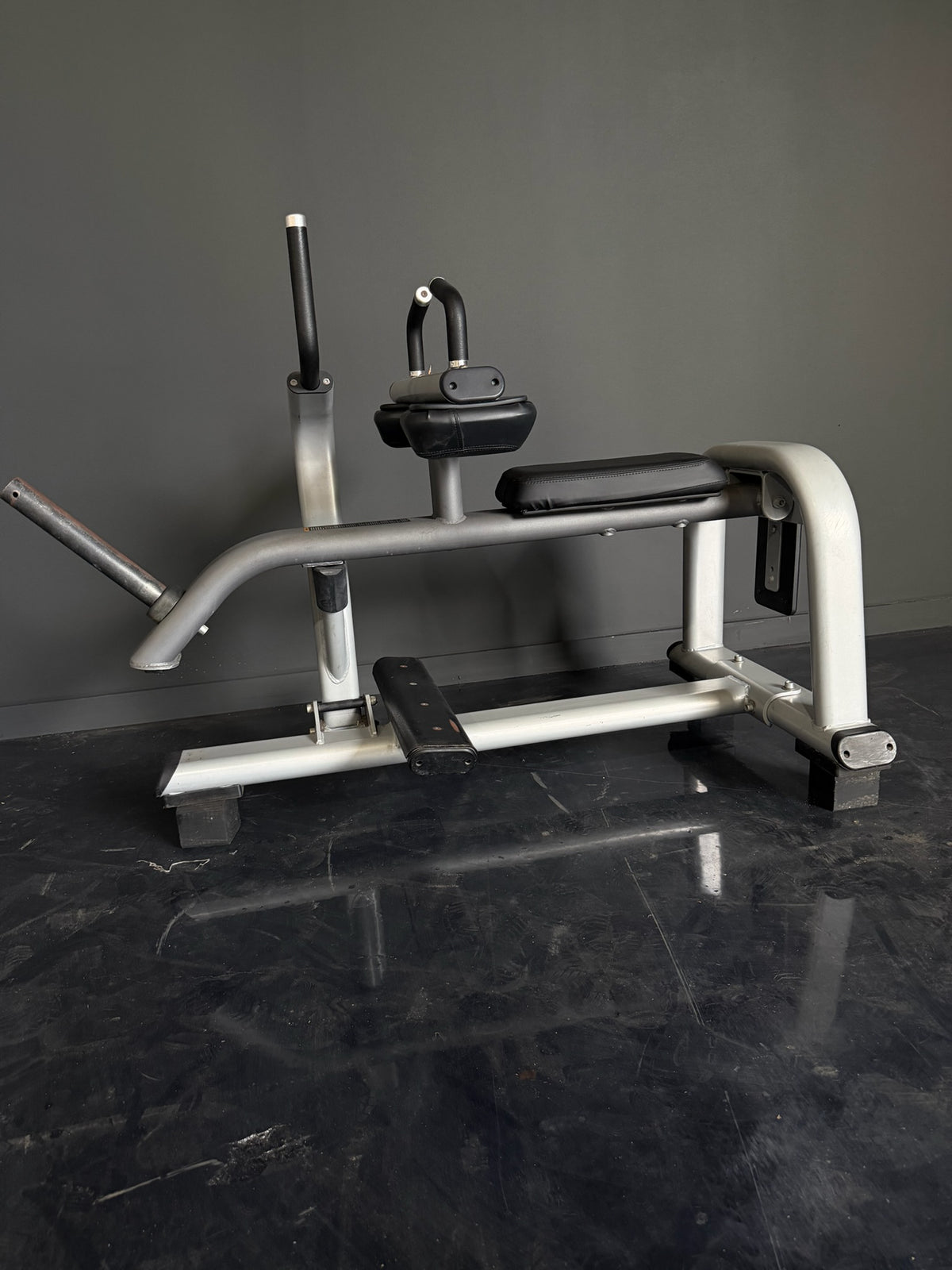 Precor Seated Calf