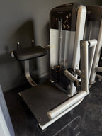 Precor Selectorized Glute Extension